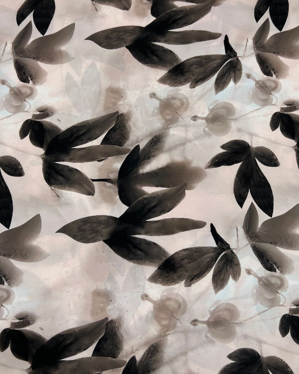 Printed California Coffee Colour 44 Inches Width