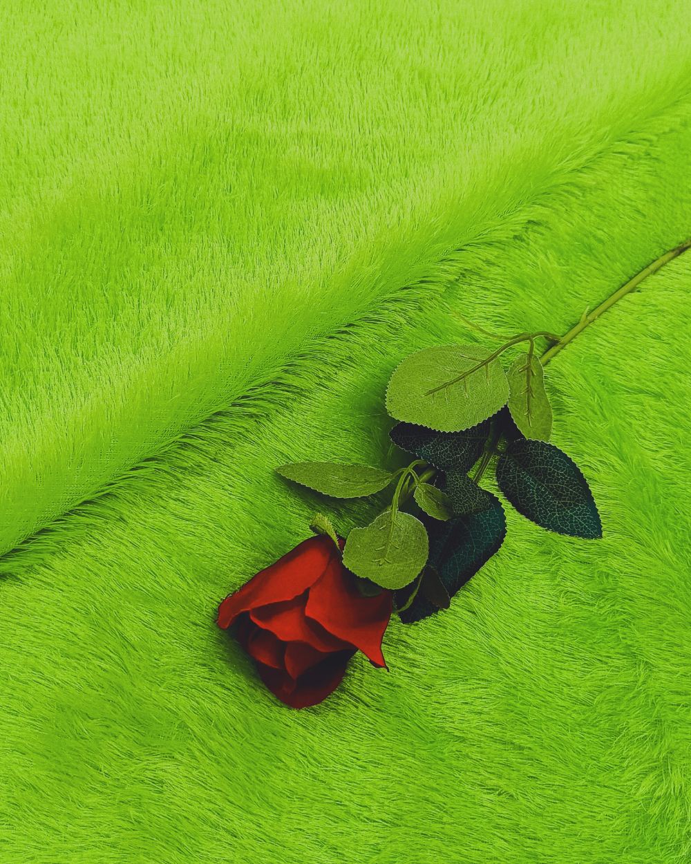 Imported Fur Parrot Green Colour 60 Inches Width