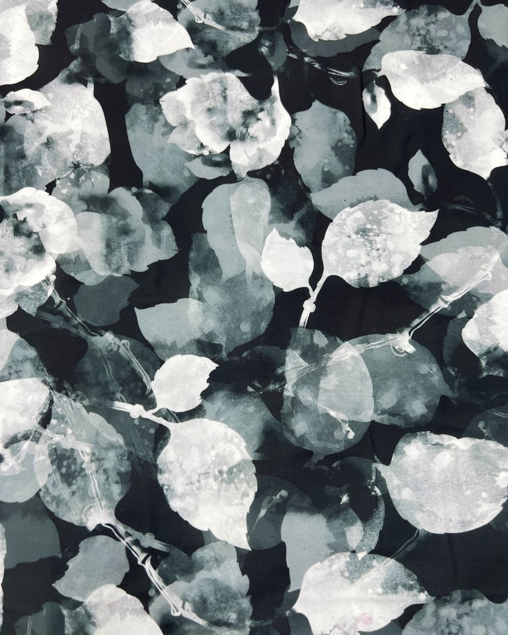 Printed Fiona Black Colour 44 Inches Width