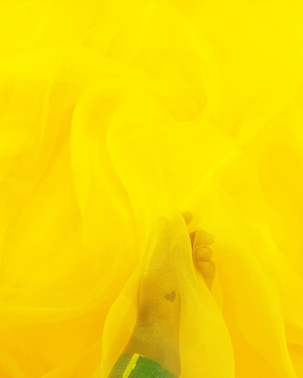 Plain Organza Tuneric Yellow Colour 45 Inches Width