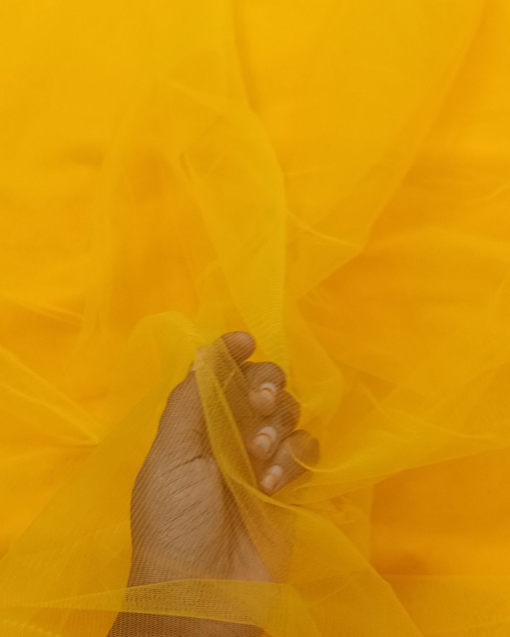 Plain Net-mono Turmeric Yellow Colour 44 Inches Width