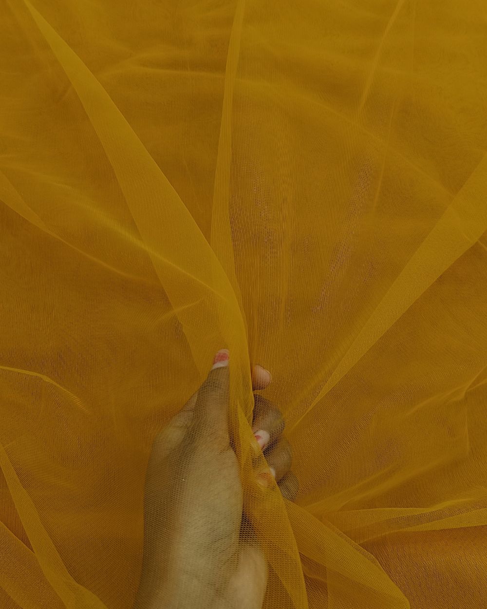 Plain Net-mono Dark Mustard Yellow Colour 44 Inches Width