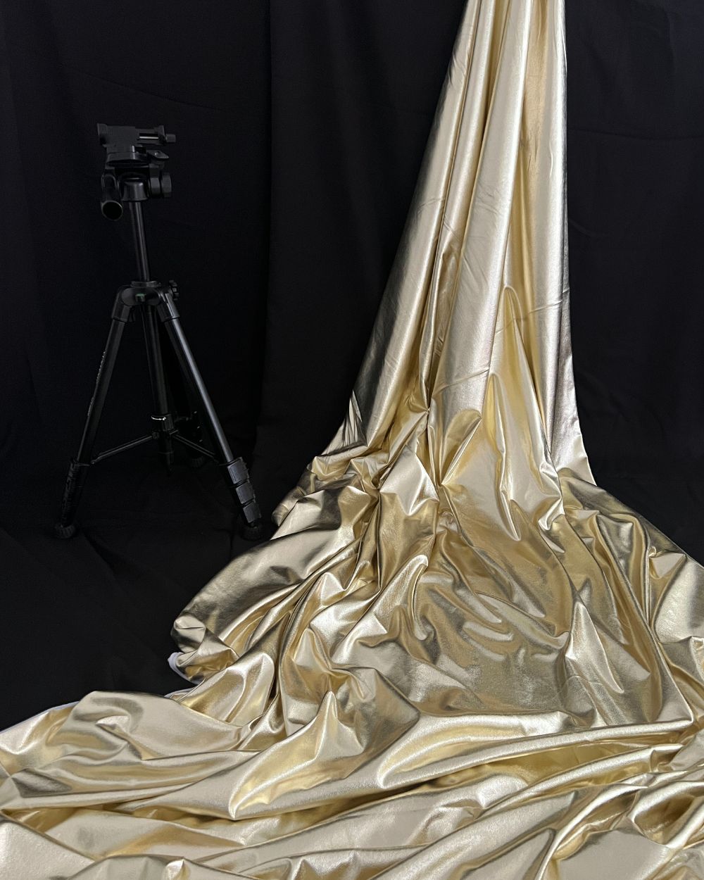 Imported Metallic Foil All Over Shine Light Golden Colour 60 Inches Width