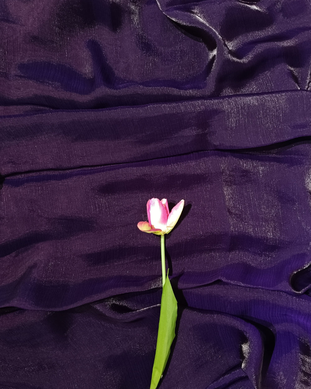 Plain Pure Space Silk Saree Without Blouse Dark Violet Colour 44 Inches Width