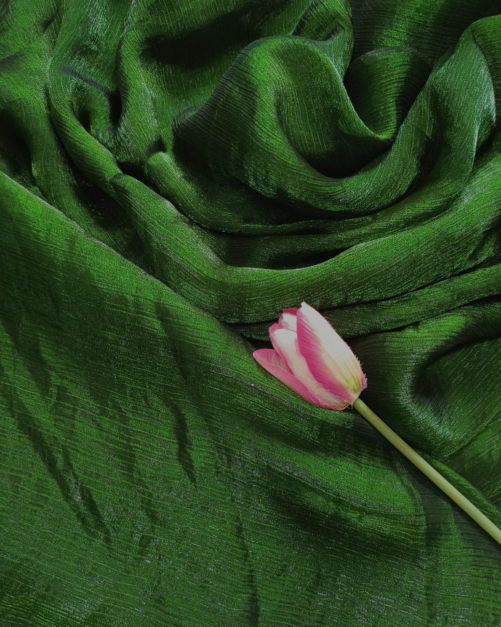 Plain Pure Space Silk Saree Without Blouse Mehandi Green Colour 44 Inches Width